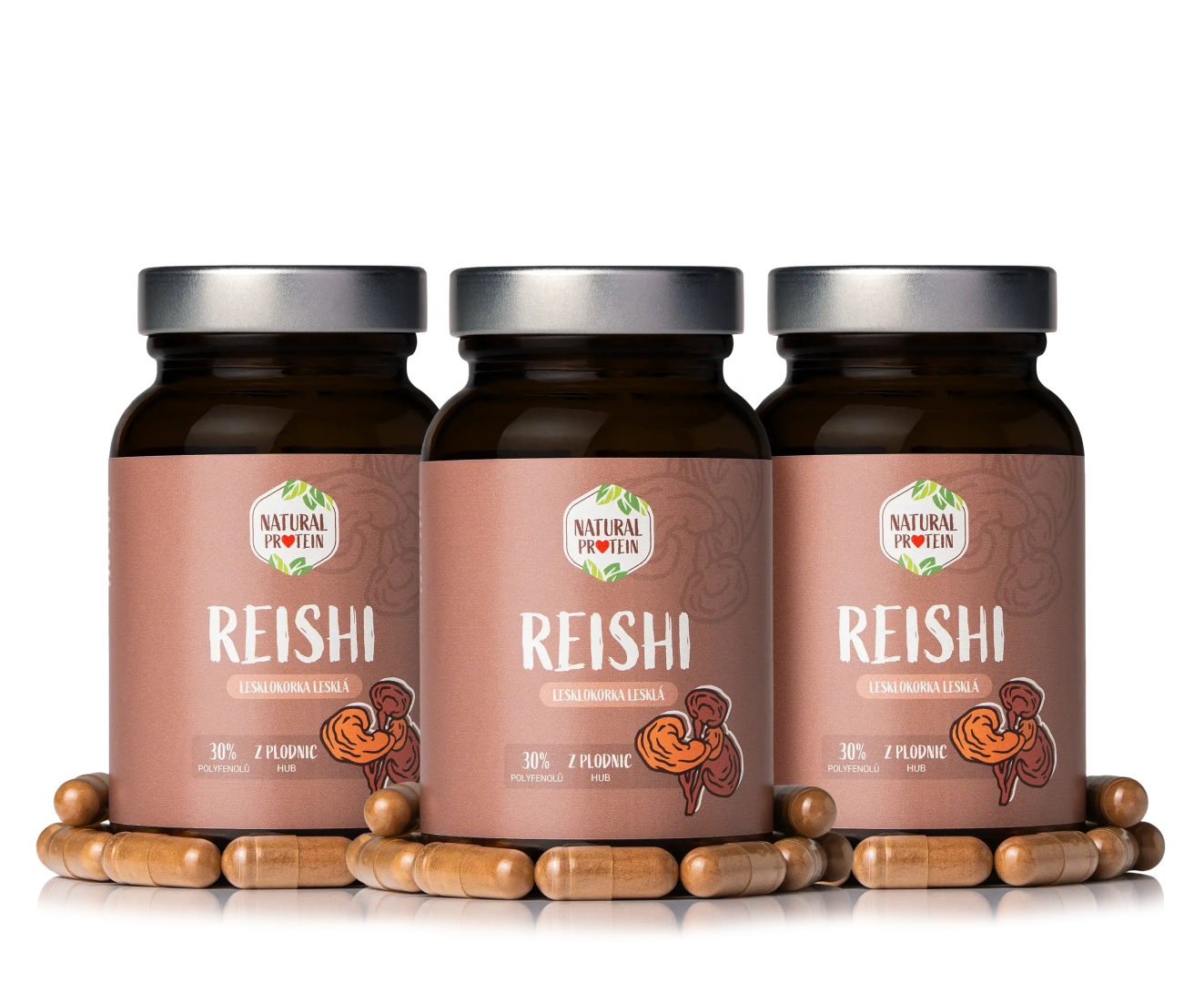 NaturalProtein Reishi (kapsle) 3 ks